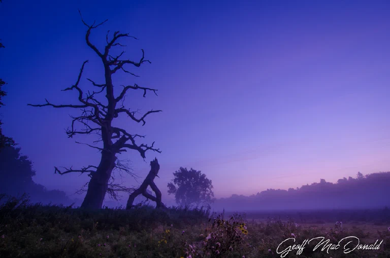 Hilborough 016 2
