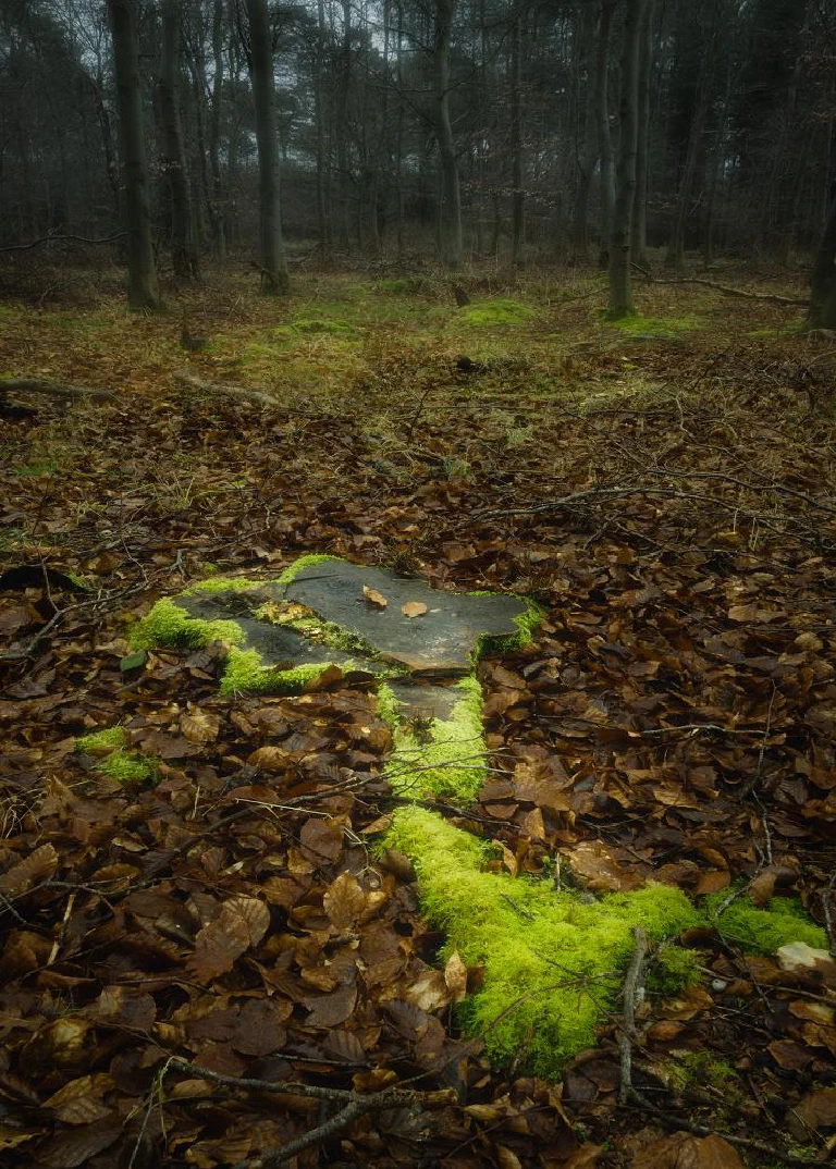Thetford Forest 019 021 2 25