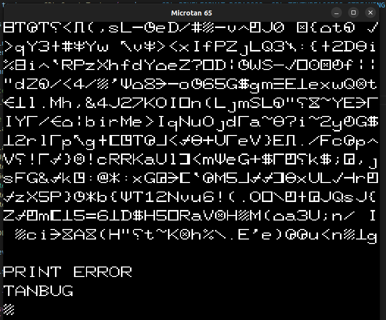 Microtan 65 emulator showing random characters, a PRINT ERROR message and the TANBUG prompt