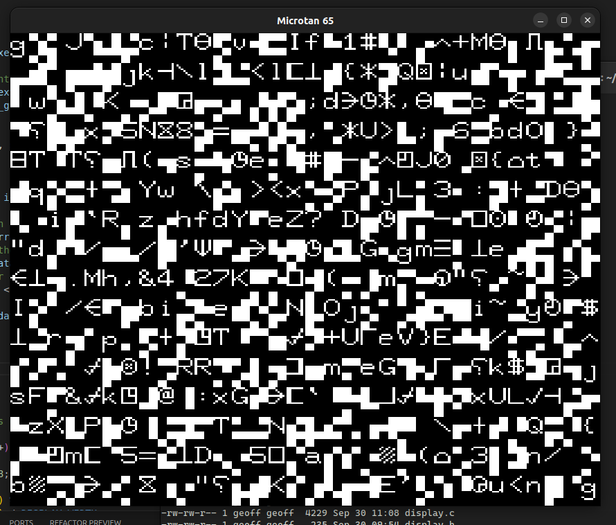 Microtan 65 emulator window showing a test pattern of ASCII characters and chunky black-and-white graphics