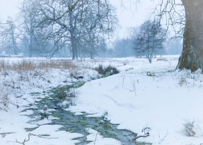 Hilborough Snow 025