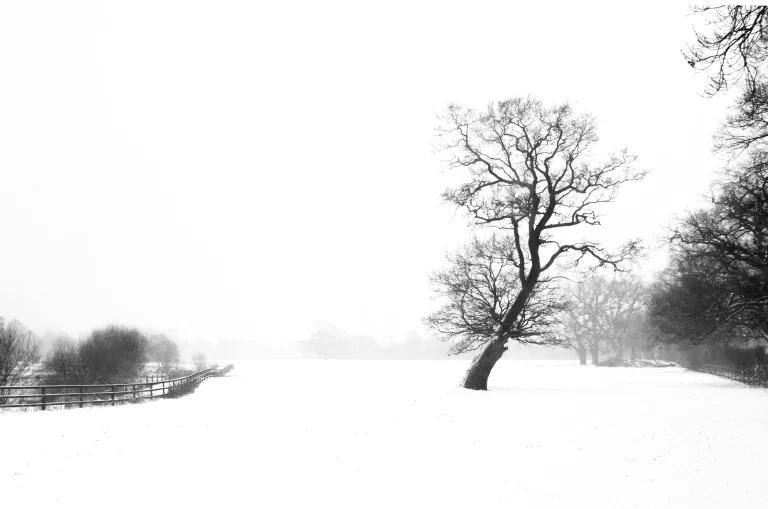 Hilborough Snow 027